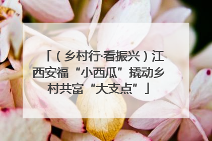 （乡村行·看振兴）江西安福“小西瓜”撬动乡村共富“大支点”