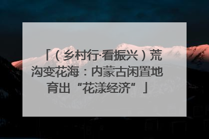 （乡村行·看振兴）荒沟变花海：内蒙古闲置地育出“花漾经济”