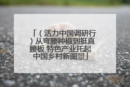 （活力中国调研行）从弯腰种椒到挺直腰板 特色产业托起中国乡村新图景