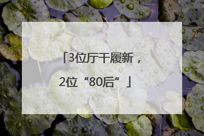 3位厅干履新，2位“80后”