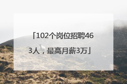 102个岗位招聘463人，最高月薪3万