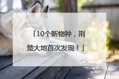 10个新物种，荆楚大地首次发现！