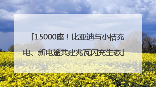 15000座！比亚迪与小桔充电、新电途共建兆瓦闪充生态