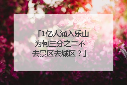 1亿人涌入乐山 为何三分之二不去景区去城区？