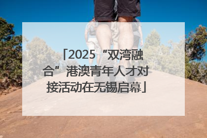 2025“双湾融合”港澳青年人才对接活动在无锡启幕