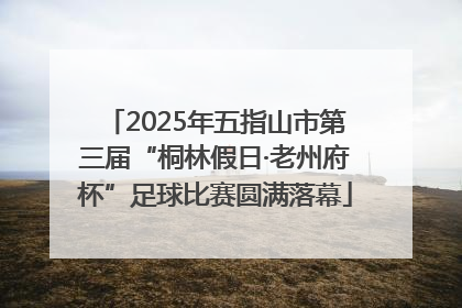 2025年五指山市第三届“桐林假日·老州府杯”足球比赛圆满落幕