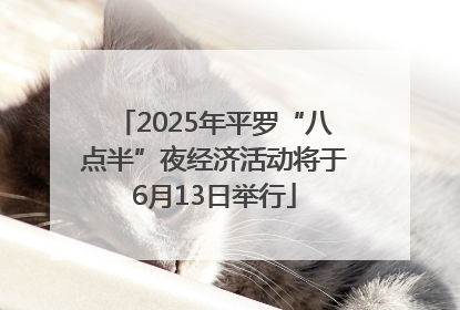 2025年平罗“八点半”夜经济活动将于6月13日举行