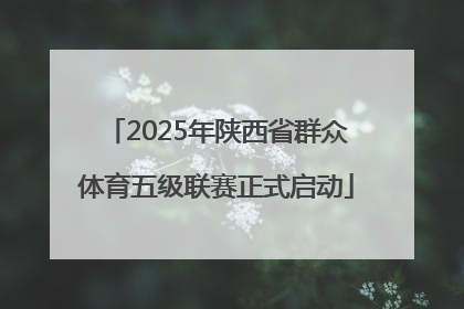 2025年陕西省群众体育五级联赛正式启动
