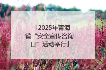 2025年青海省“安全宣传咨询日”活动举行