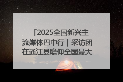 2025全国新兴主流媒体巴中行｜采访团在通江县瞻仰全国最大红军烈士陵园