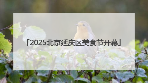2025北京延庆区美食节开幕