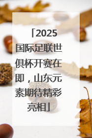 2025国际足联世俱杯开赛在即，山东元素期待精彩亮相