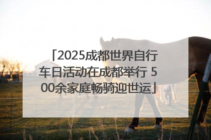 2025成都世界自行车日活动在成都举行 500余家庭畅骑迎世运