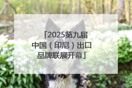 2025第九届中国（印尼）出口品牌联展开幕