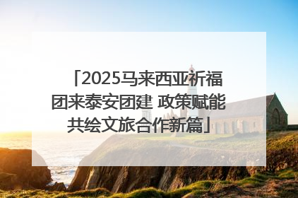 2025马来西亚祈福团来泰安团建 政策赋能共绘文旅合作新篇