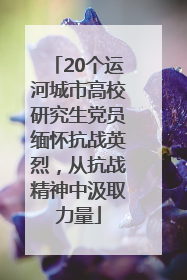 20个运河城市高校研究生党员缅怀抗战英烈，从抗战精神中汲取力量
