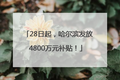 28日起，哈尔滨发放4800万元补贴！