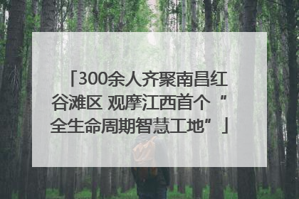 300余人齐聚南昌红谷滩区 观摩江西首个“全生命周期智慧工地”