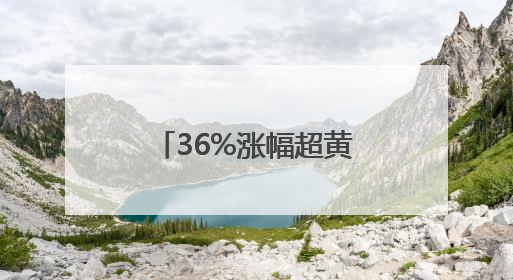 36%涨幅超黄金，铂金“回春”？提醒：普通人入场像拆盲盒