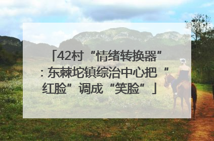 42村“情绪转换器”：东棘坨镇综治中心把“红脸”调成“笑脸”