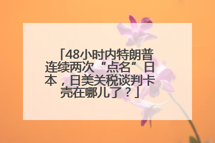 48小时内特朗普连续两次“点名”日本，日美关税谈判卡壳在哪儿了？