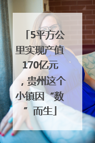 5平方公里实现产值170亿元，贵州这个小镇因“数”而生