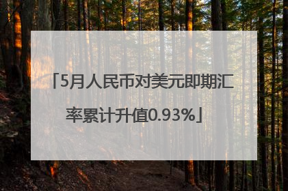5月人民币对美元即期汇率累计升值0.93%