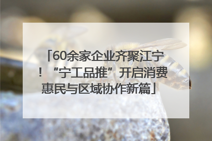 60余家企业齐聚江宁！“宁工品推”开启消费惠民与区域协作新篇
