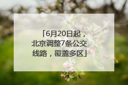 6月20日起，北京调整7条公交线路，覆盖多区