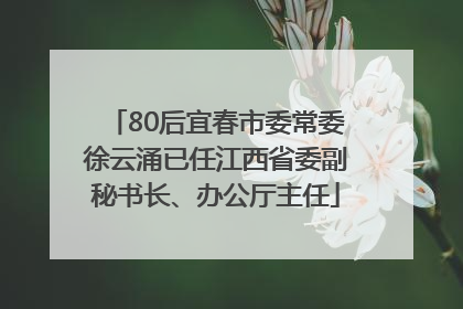 80后宜春市委常委徐云涌已任江西省委副秘书长、办公厅主任