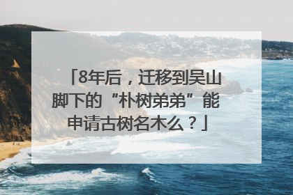 8年后，迁移到吴山脚下的“朴树弟弟”能申请古树名木么？