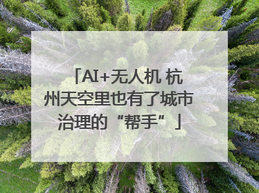AI+无人机 杭州天空里也有了城市治理的“帮手”