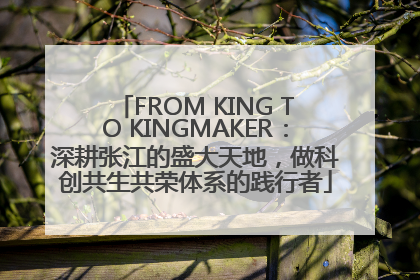 FROM KING TO KINGMAKER：深耕张江的盛大天地，做科创共生共荣体系的践行者