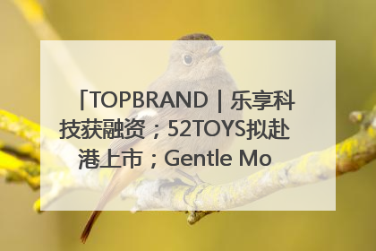 TOPBRAND｜乐享科技获融资；52TOYS拟赴港上市；Gentle Monster合作谷歌；Valentino传播官离职